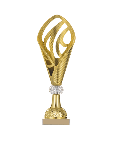 https://www.cspescarusii.ro/wp-content/uploads/2022/11/trophy_03.png