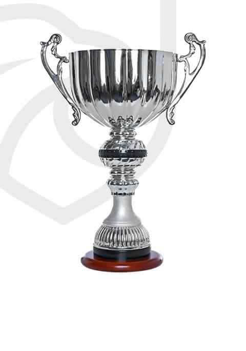 https://www.cspescarusii.ro/wp-content/uploads/2022/11/trophy_overlay_01.jpg