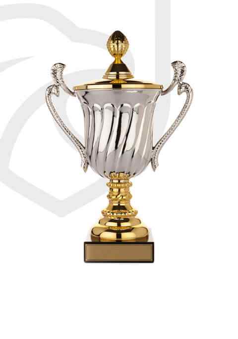 https://www.cspescarusii.ro/wp-content/uploads/2022/11/trophy_overlay_02.jpg