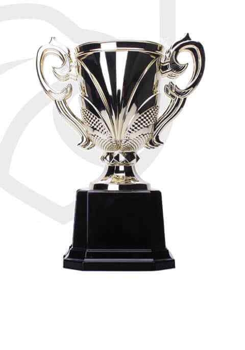 https://www.cspescarusii.ro/wp-content/uploads/2022/11/trophy_overlay_04.jpg
